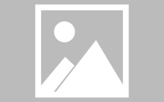 资阳信息系统网页设计（信息系统网页设计主要包括）